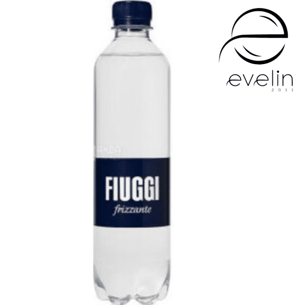 Вода FIUGGI  FRIZZANT 0.500МЛ.