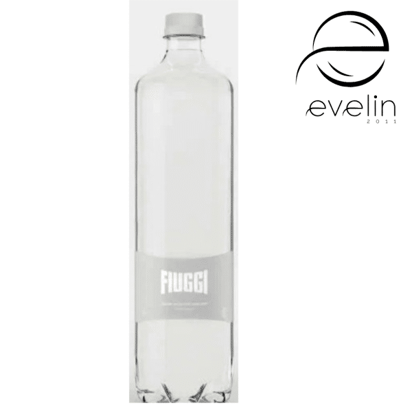 Вода FIUGGI NATURALE 1л