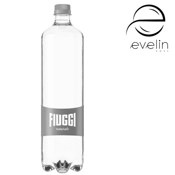 Water FIUGGI NATURALE 1l