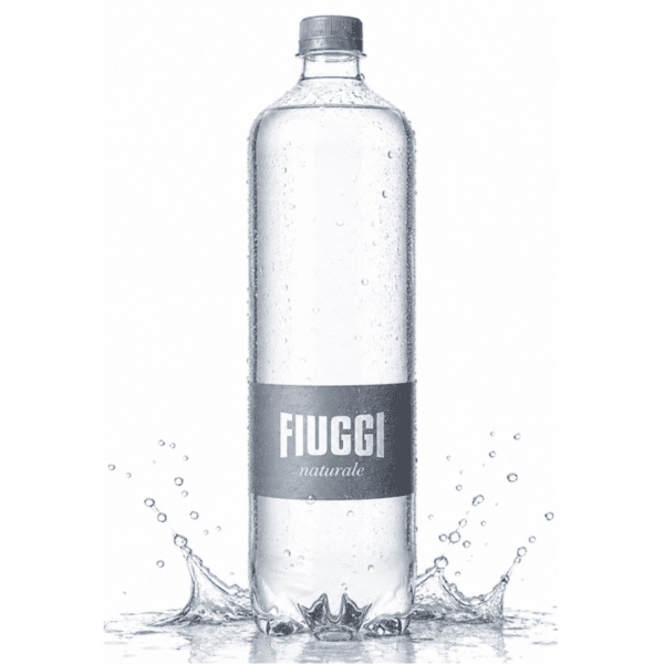 Вода FIUGGI NATURALE 1л
