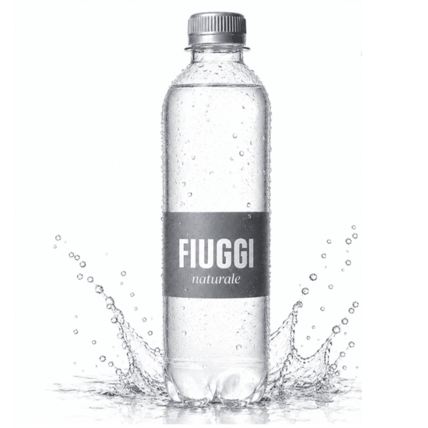 Вода FIUGGI NATURALE 0.500МЛ